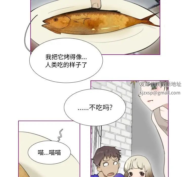 20.jpg