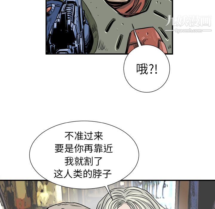 41.jpg