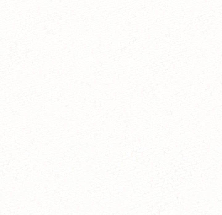 298.jpg